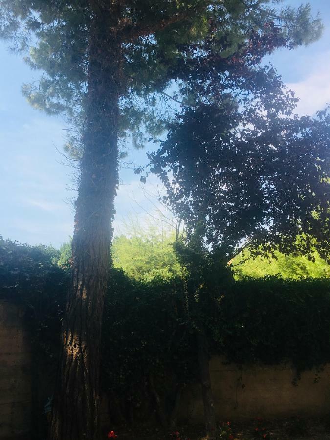 Frühstückspension La Casa Di Nonno Giulio *