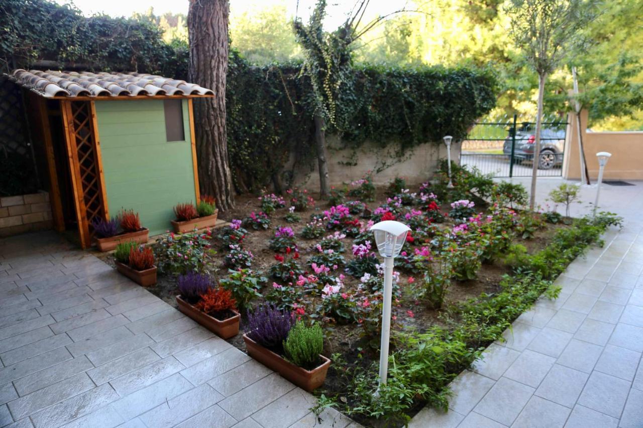 La Casa Di Nonno Giulio Porto SantʼElpidio