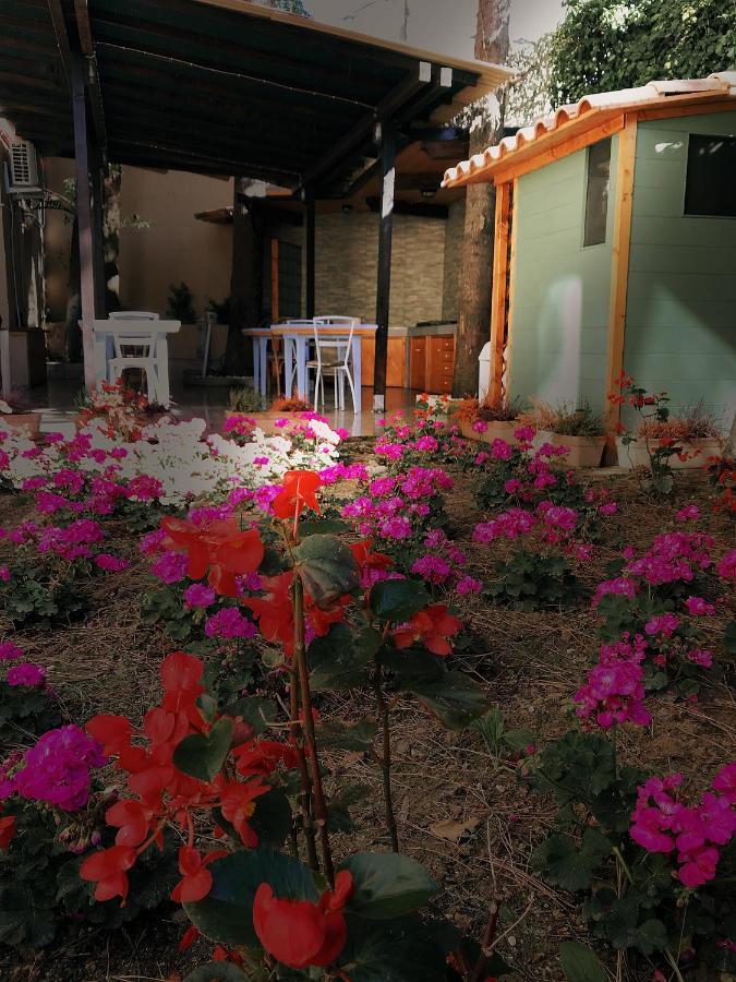 La Casa Di Nonno Giulio *